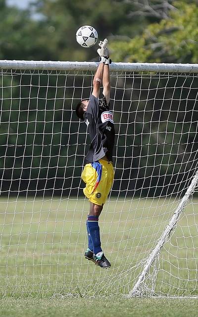 与亚历山大 与亚历山大