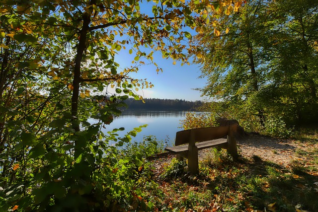 未归位的情 未归位的情