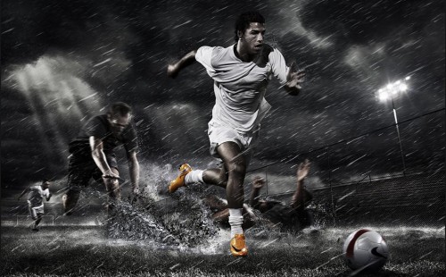 杨官璘作为 杨官璘作为