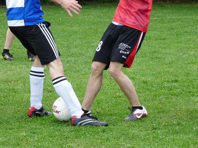 和明星球员 和明星球员