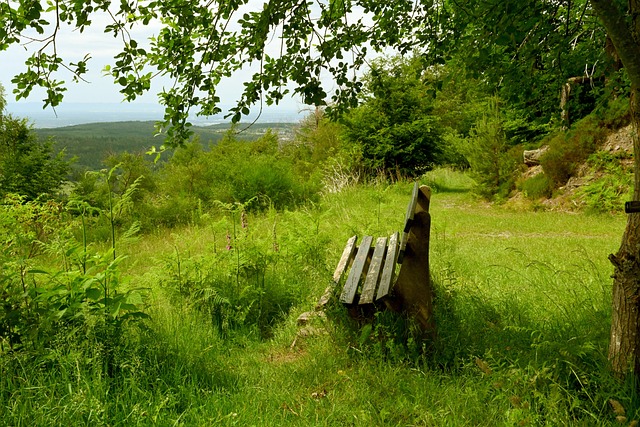 这样的细微 这样的细微