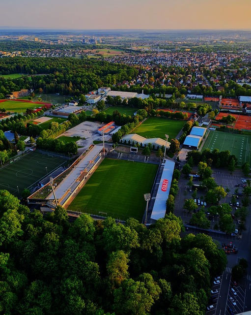 韦德的公开 韦德的公开